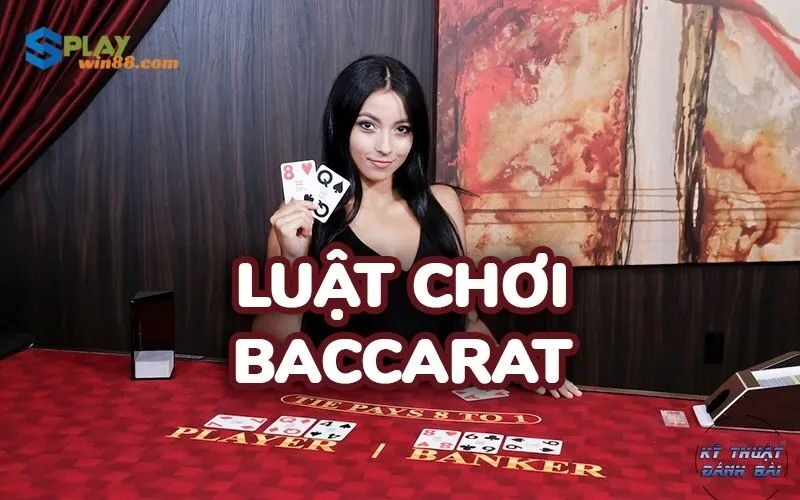 Cược Live Baccarat tại Splay: Kinh nghiệm chơi Pro