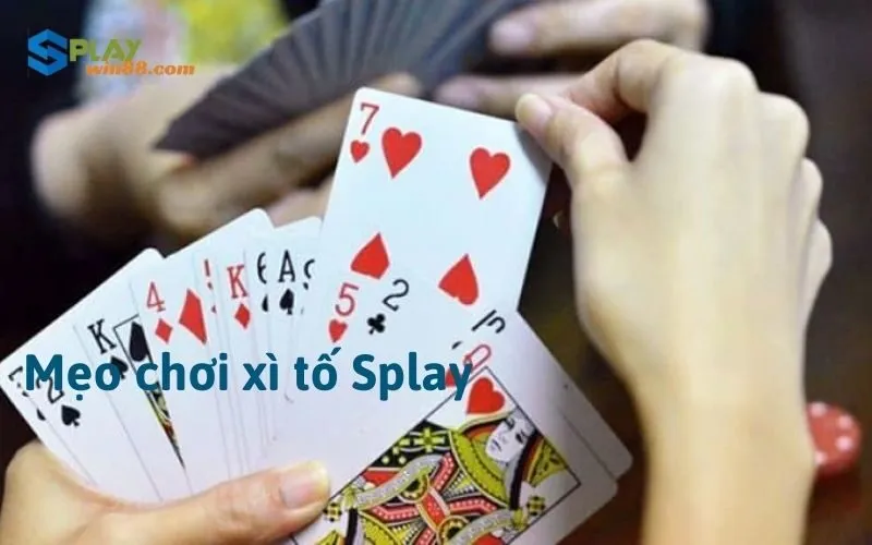 Mẹo chơi Xì tố Splay